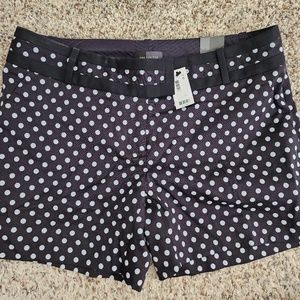 NWT The limited polka dot cotton canvas shorts black white 6